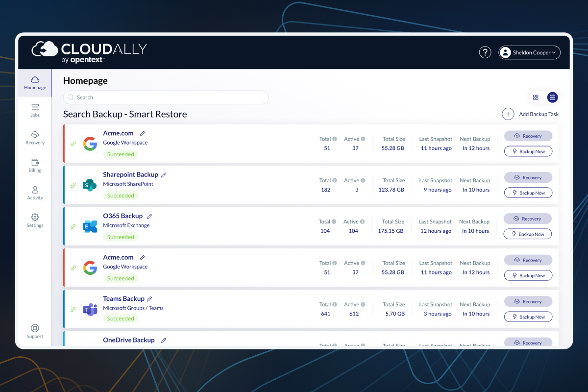 screenshot of Salesforce Backup
